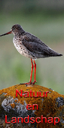 Natuur en landschap